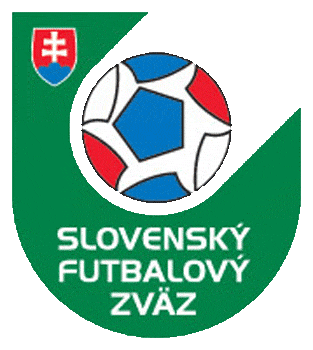 UEFA Slovakia 1993-2010 Primary Logo iron on transfers